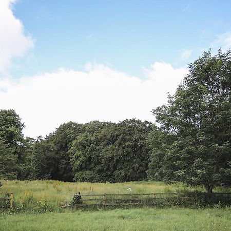 Merrymouth Fifield Kültér fotó